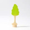  
Motiv: Birke