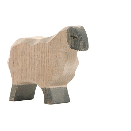 Ostheimer Heidschnucke Ostheimer Heidschnucke