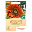 bingenheimer saatgut Sonnenblume 'Velvet Queen' (Helianthus annuus) Samen B277N