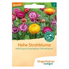 bingenheimer saatgut Hohe Strohblume (Helichrysum brac. ...) Samen B280N