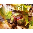 Geschenkgutschein für Waldkinderdinge.de