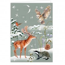 Grätz Verlag - Adventskalender-Doppelkarte Winternacht - Illustration: Daniela Drescher